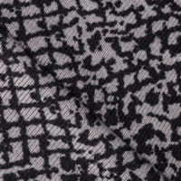 lizard grey